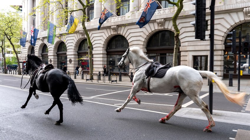 Britain-Horses