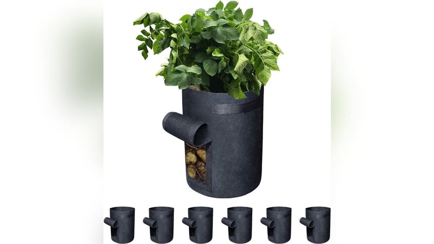 10 amazon finds that can help you build a garden no matter how small your space