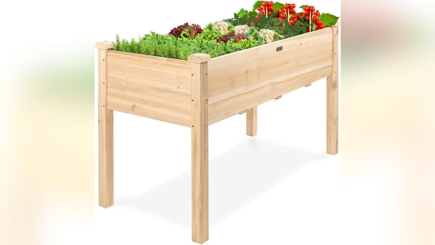 10 amazon finds that can help you build a garden no matter how small your space