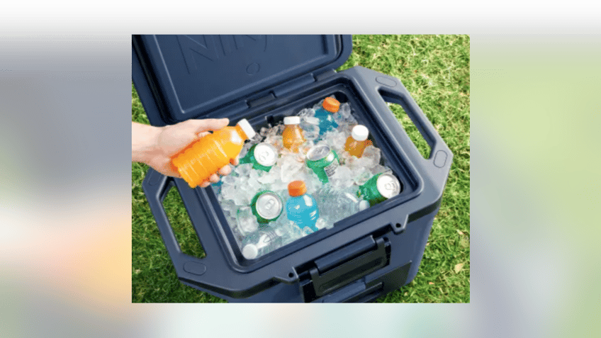 Make sure your drinks and food stays ice-cold your entire trip with a solid cooler. 