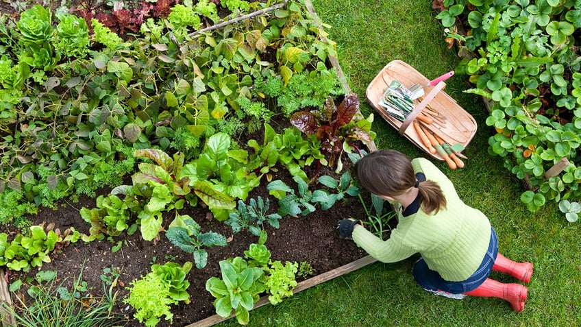 10 garden tools every gardener should have