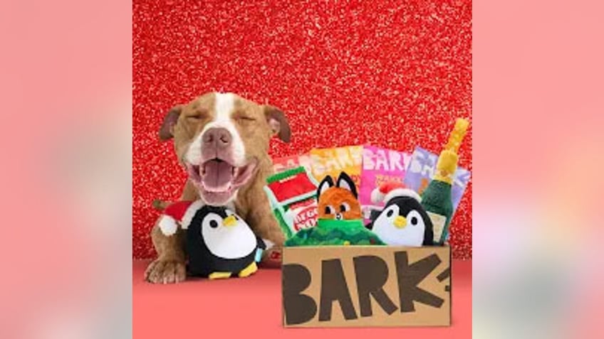Get your pet a subscription or buy a one-time box.