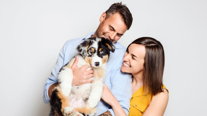 Gift new dog parents puppy training essentials.