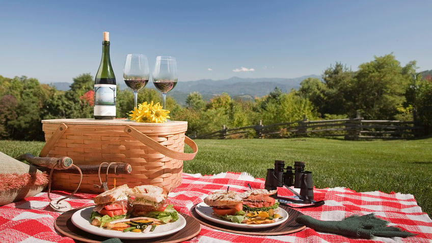 A picnic date set up 