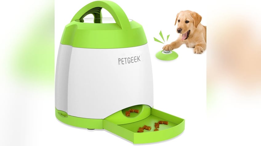 10 smart devices that make pet parenting easier