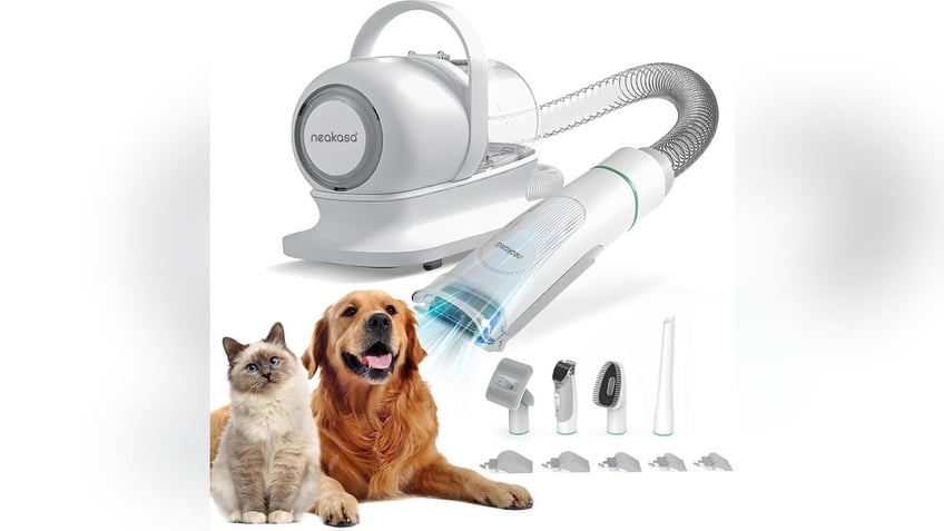 10 smart devices that make pet parenting easier