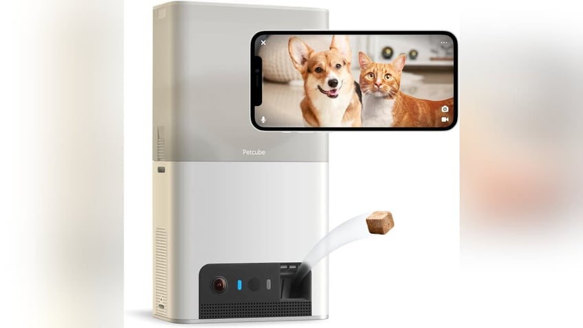 10 smart devices that make pet parenting easier