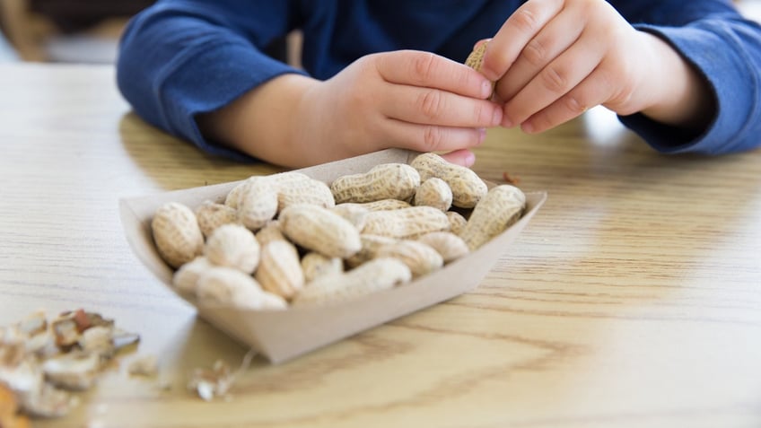 Kid eating peanuts