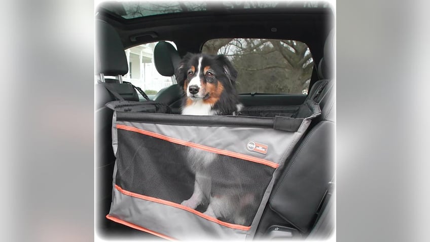 Small dogs will have plenty of room in this car seat. 