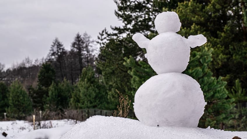 Back view of large snowman