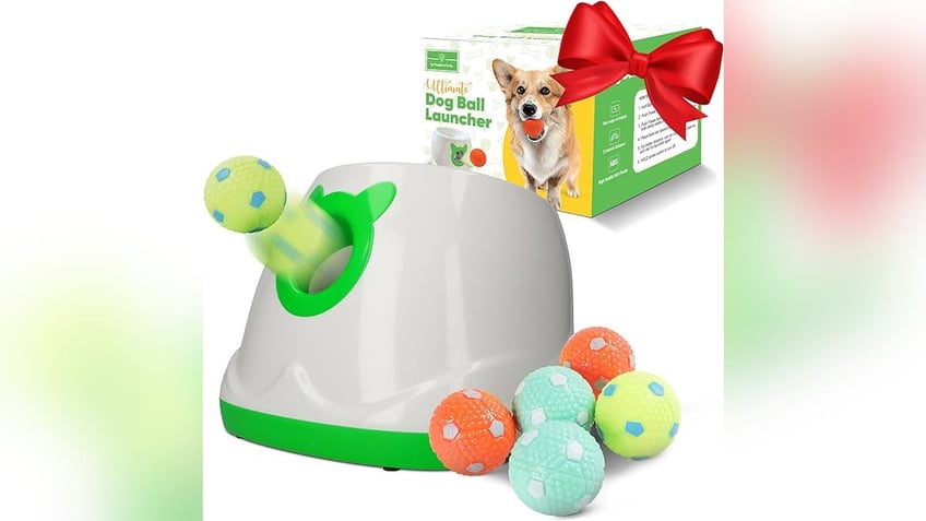 Automatic Dog Ball Launcher