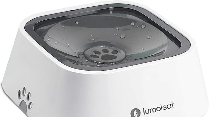 LumoLeaf Dog Water Bowl