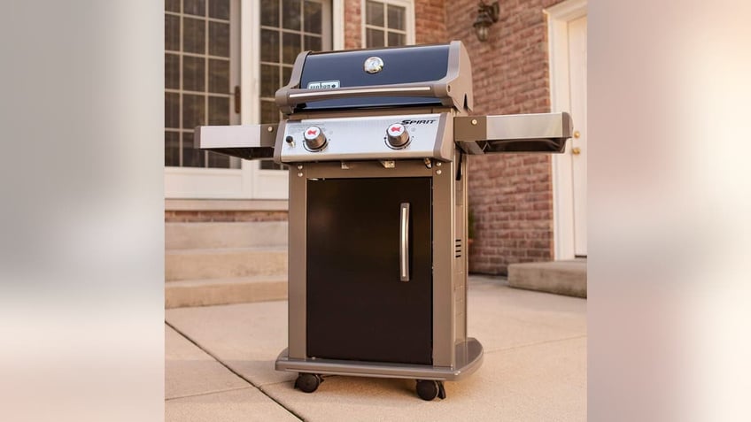 12 grills that fit every budget