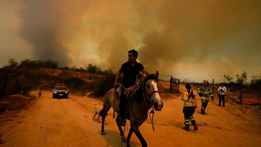 Chile wildfires