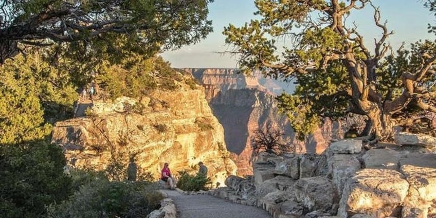 13 year old tourist survives nearly 100 foot fall at grand canyon