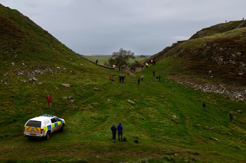 16 year old boy arrested after world famous tree cut down at hadrians wall