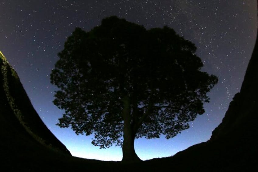 2 men arrested in an investigation into a famous tree that was felled near hadrians wall in england