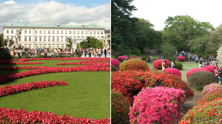 garden split image