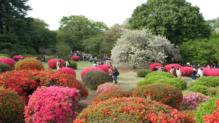 Shinjuku Gyoen