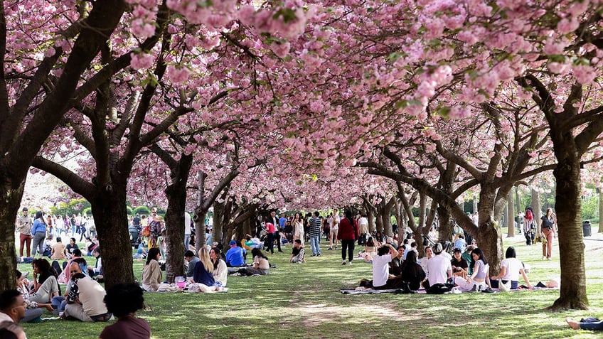 Brooklyn Botanic Gardens