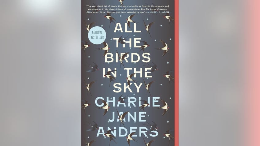 Witches and technology are combined in this book to make a unique read. 