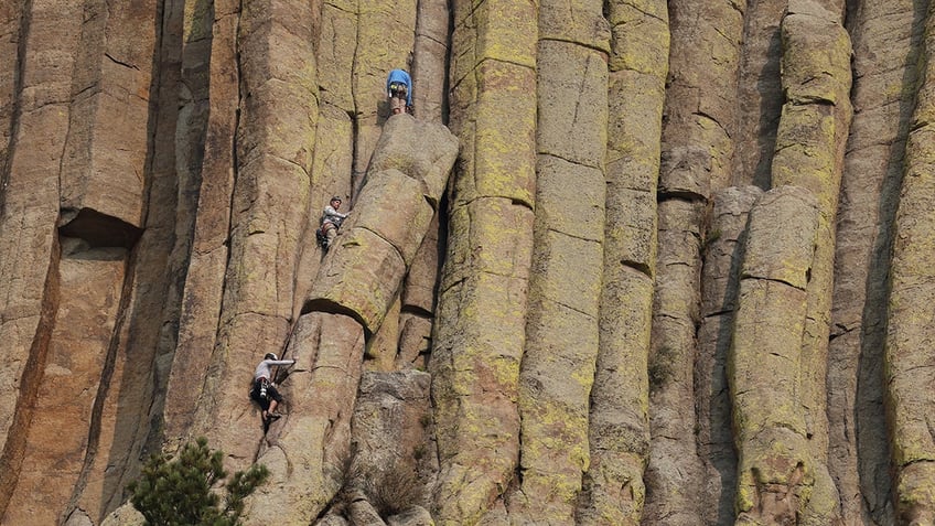 Rock climbers on a vertical stretch of Devils Tower National Monument