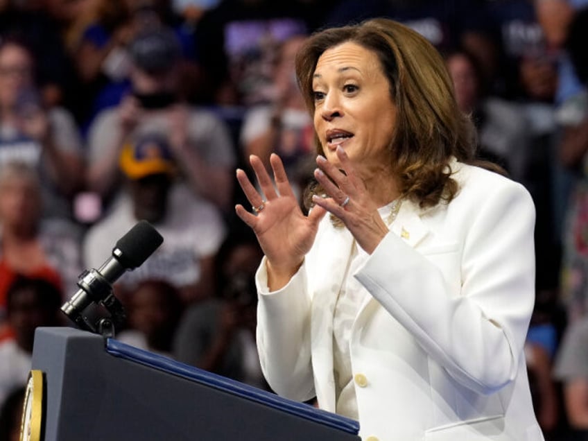 Democratic presidential nominee Vice President Kamala Harris speaks at a campaign rally in