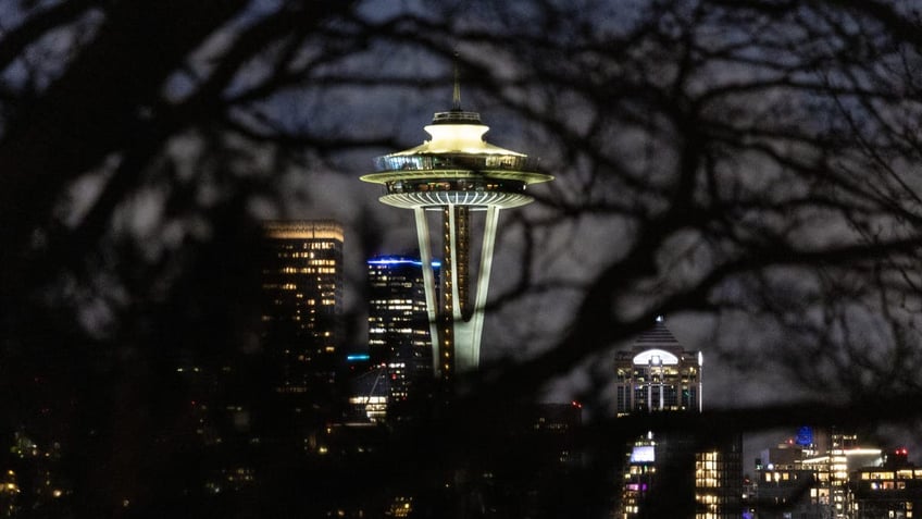 Seattle Space Needle at night