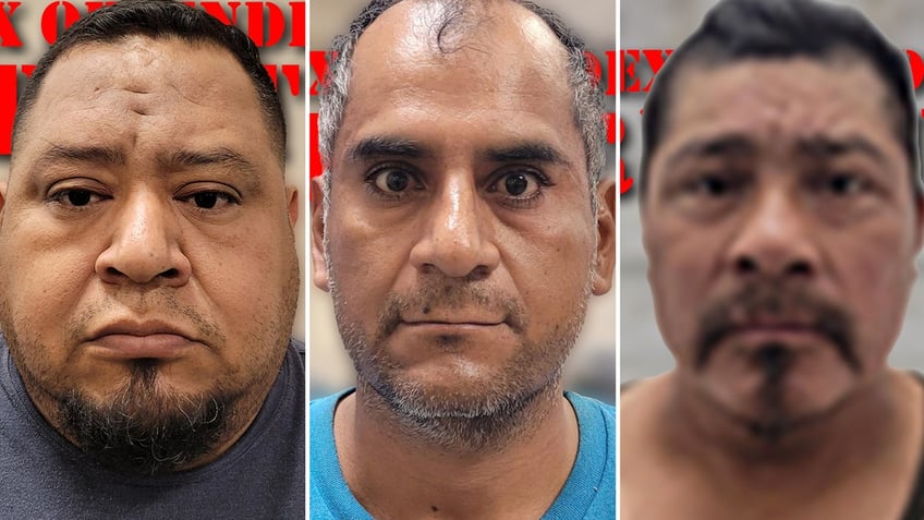 3 illegal immigrant child sex offenders captured while entering texas in a single weekend