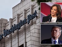 3 reasons leftist journalists throwing tantrum after Kamala endorsements canceled