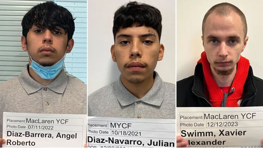 Angel Diaz-Barrera, Julian Diaz-Navarro, and Xavier Swimm