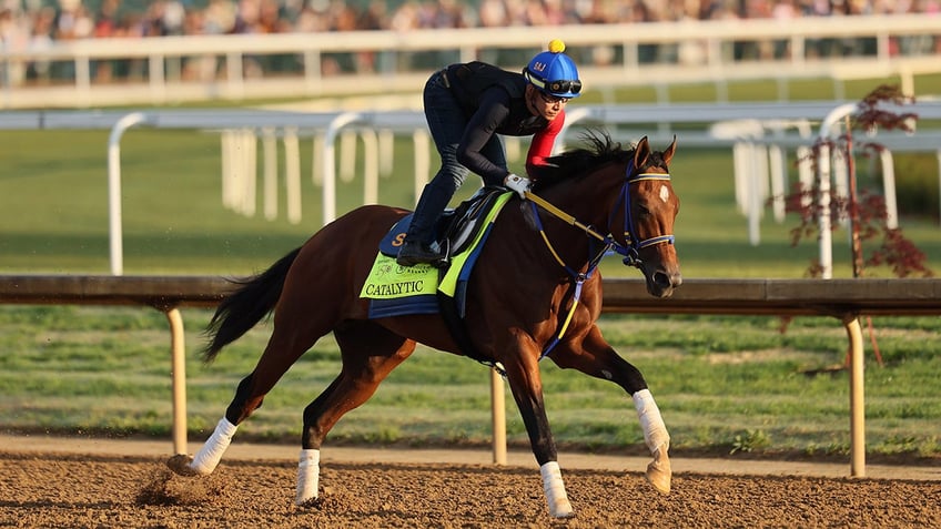 Catalytic runs the track during training at Churchhill Downs