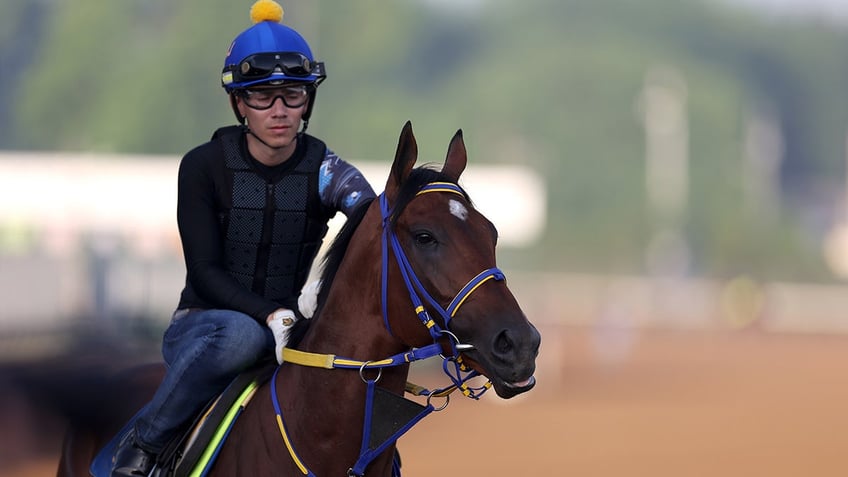 Catalytic walks the track in Louisville