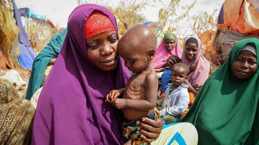 30 people dead in kenya and somalia as heavy rains and flash floods displace thousands