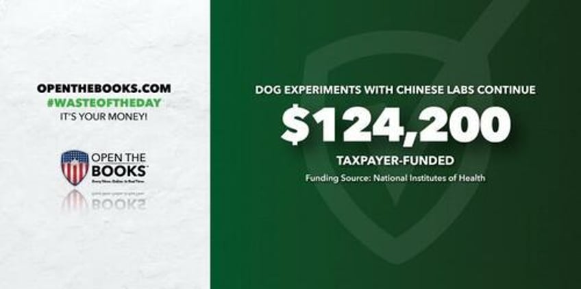 300 beagles per week us continues to fund dog experiments in china