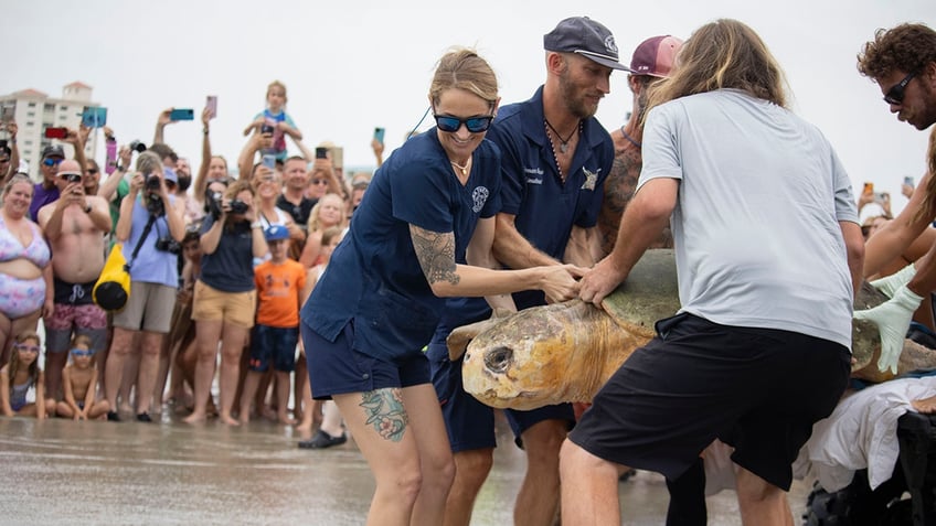 Bubba release into the ocean