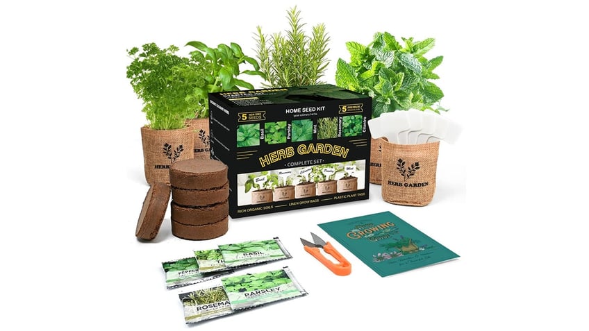 Herb-garden-Amazon