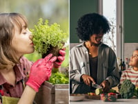 5 eco-friendly Mother’s Day gifts to grab now on Amazon, including an indoor herb garden and more