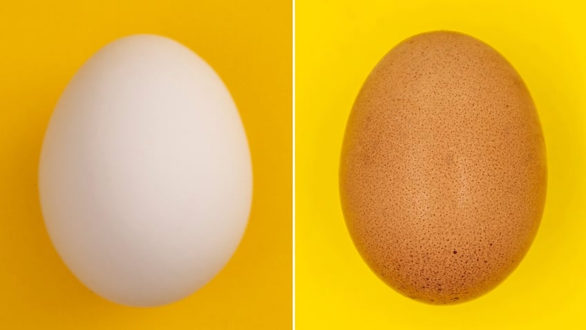 A white egg next to a brown egg.