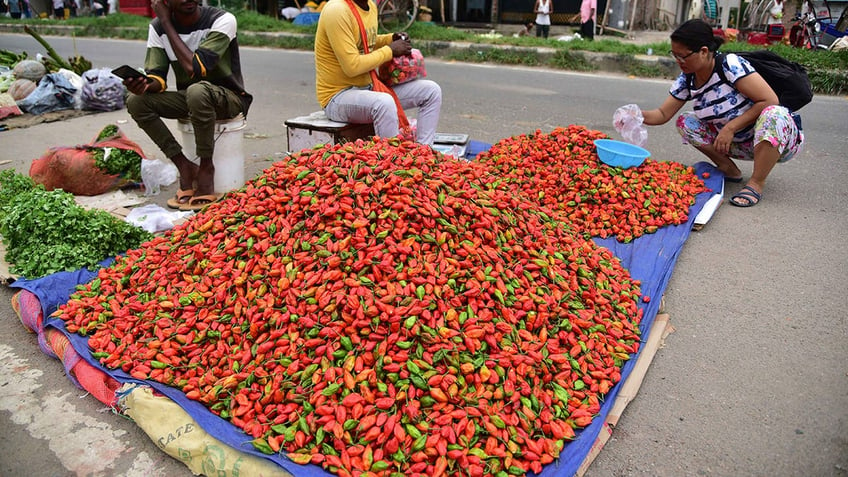 5 of the spiciest peppers a person can buy and how pepper spice is measured