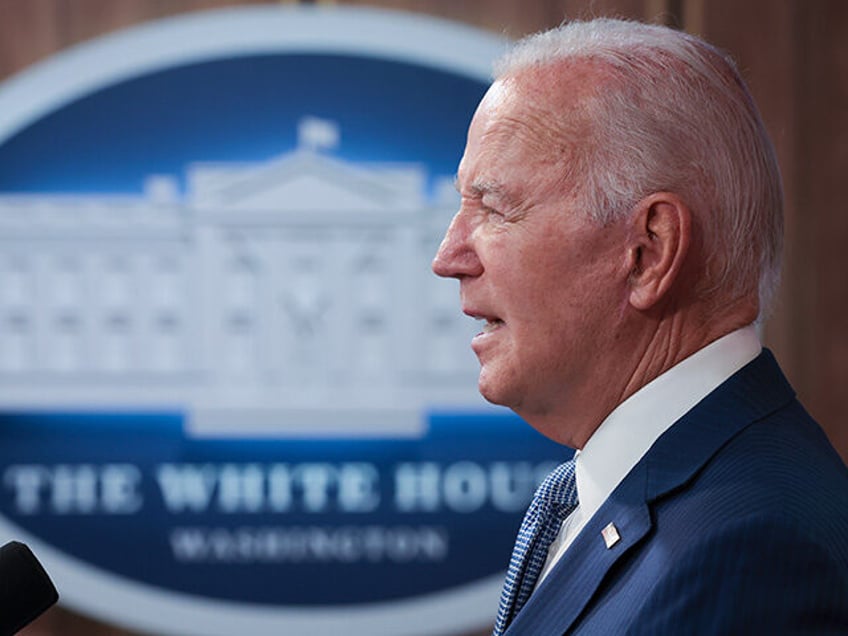 5 people referenced joe biden as the big guy