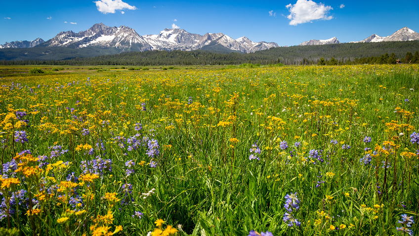 5 ski towns that make perfect summer vacation destinations