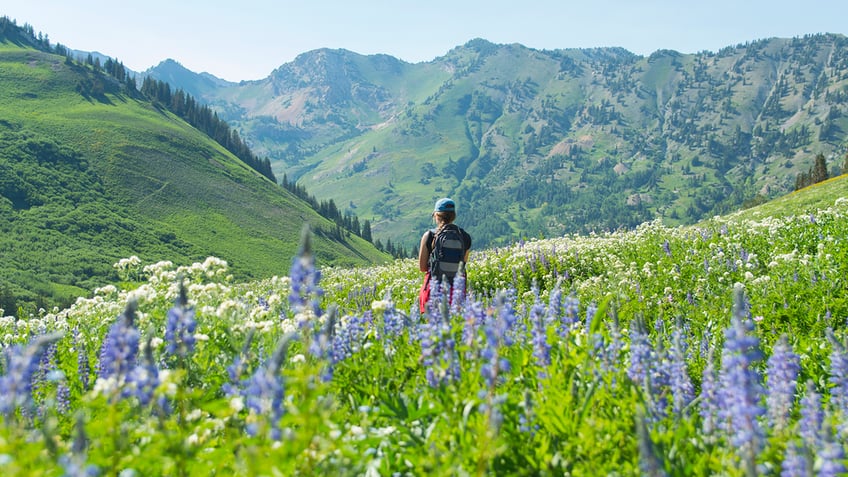 5 ski towns that make perfect summer vacation destinations