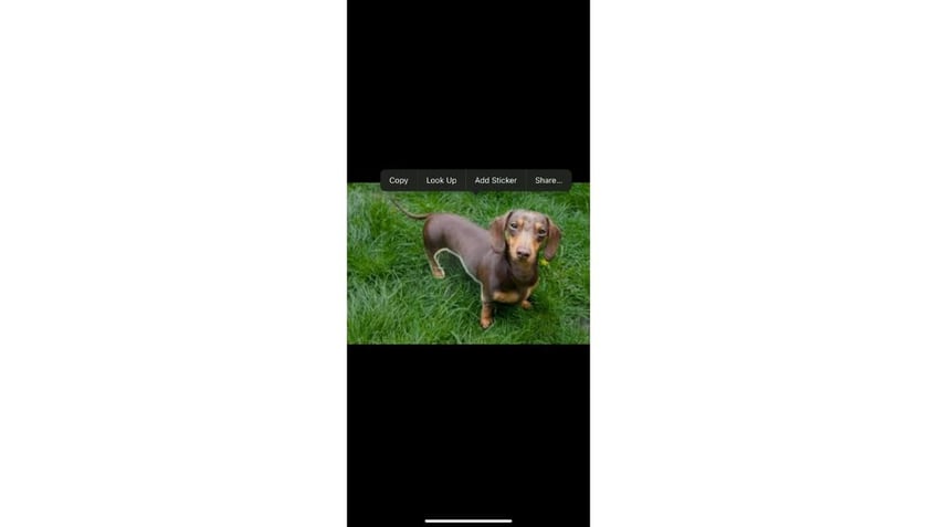 5 surprising things you can do with your photos in ios 17