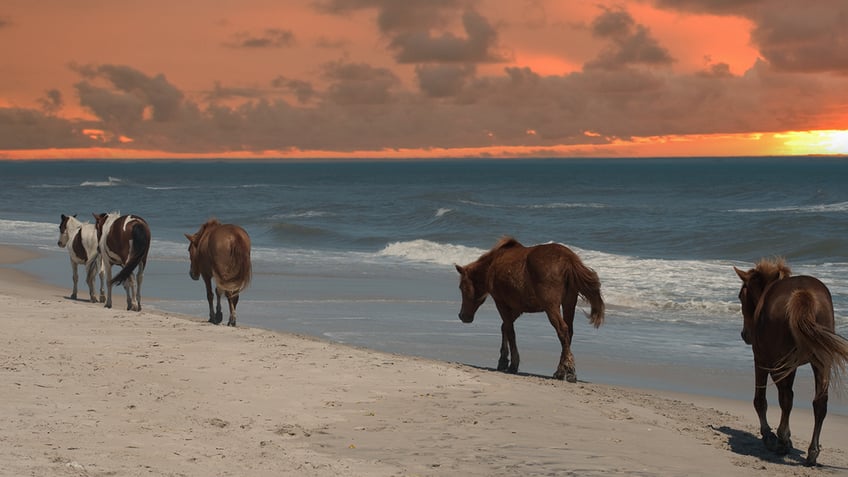 5 us beaches you can camp at and what you should pack