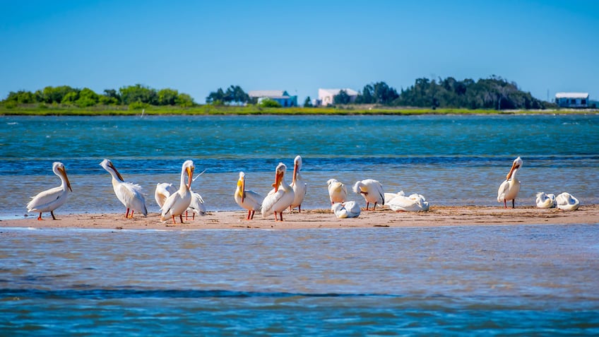 5 us beaches you can camp at and what you should pack