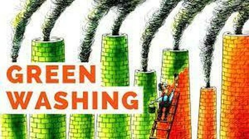 59 of investors concerned about greenwashing in financial industry