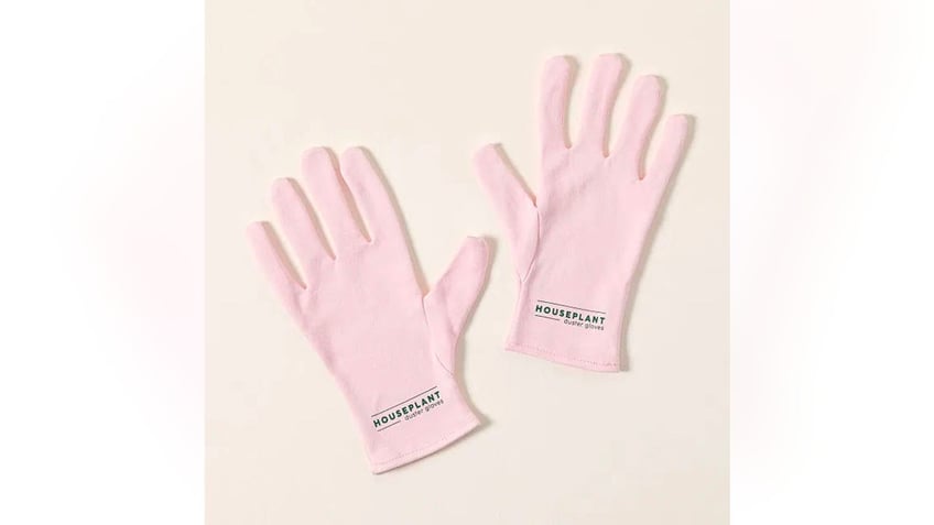 Keep leaves dust -free easily with gloves.