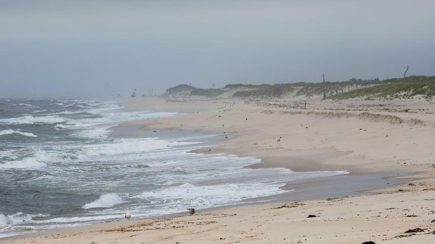 63 year old new yorker treads water for 5 hours creates makeshift flag before ocean rescue