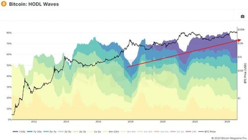 75 of bitcoin hasnt moved in over 6 months signaling strong hodling trend